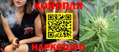 spice Заволжье