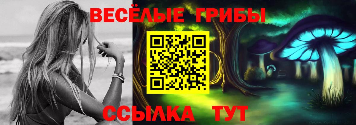 Кстово  Галлюциногенные грибы Cubensis  Псилоцибиновые грибы GOLDEN TEACHER  Вход с VPN 
